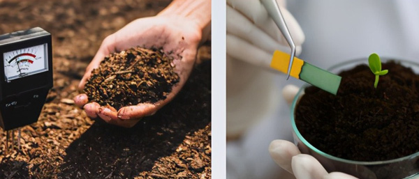 沈陽環(huán)境檢測(cè)分為哪幾類？