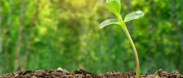 土壤監(jiān)測(cè)布點(diǎn)來(lái)了，關(guān)于沈陽(yáng)第三方檢測(cè)遼寧機(jī)構(gòu)的布設(shè)技術(shù)方法需要了解！