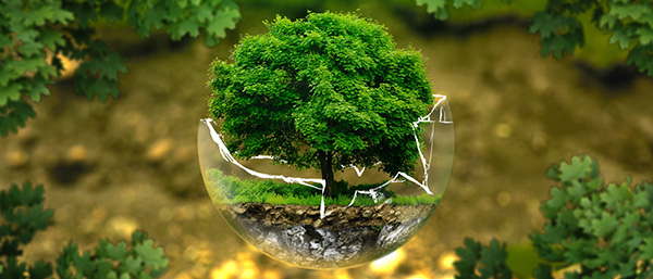 遼寧第三方檢測機(jī)構(gòu)提示找第三方檢測機(jī)構(gòu)委托時需要查看資質(zhì)？