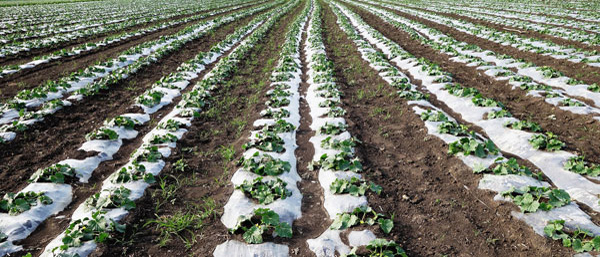 什么是廢水廢氣土壤檢測？沈陽第三方檢測機構(gòu)告訴您。