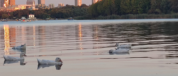 沈陽水質(zhì)檢測(cè)服務(wù)具體內(nèi)容有哪些