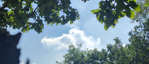 遼寧省第三方監(jiān)測(cè)公司檢測(cè)流程詳解