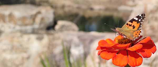 沈陽土壤檢測機構(gòu)的技術(shù)創(chuàng)新：環(huán)境質(zhì)量提升的實踐探索