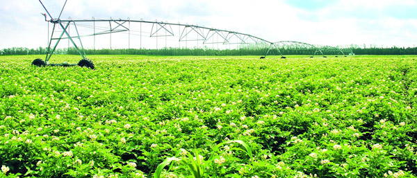 探討沈陽第三方檢測公司在土地檢測中的重要性