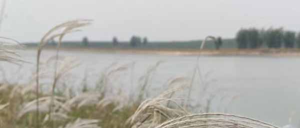 提升水質(zhì)監(jiān)測(cè)效率：沈陽(yáng)環(huán)境檢測(cè)公司的努力與實(shí)踐