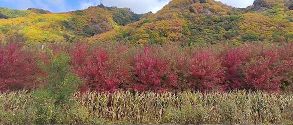 沈陽環(huán)境檢測的主要項目概述