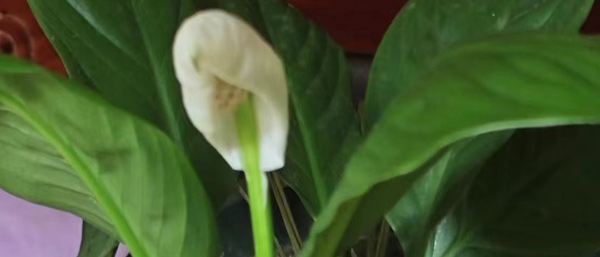 遼寧第三方檢測機(jī)構(gòu)的環(huán)境檢測服務(wù)