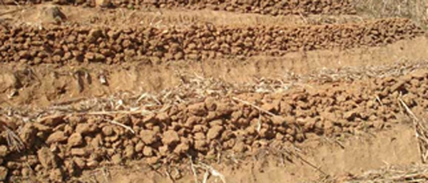 沈陽(yáng)固廢檢測(cè)公司的常見(jiàn)固廢檢測(cè)流程