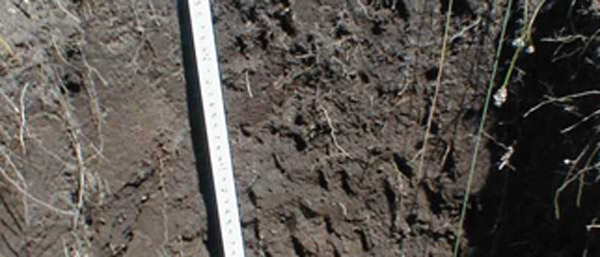 沈陽(yáng)廢水廢氣土壤檢測(cè)的重要性及方法