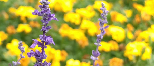 沈陽第三方檢測公司服務類型解析