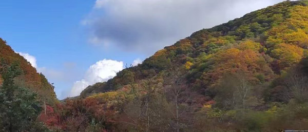 沈陽第三方檢測的作用與選擇：工程質(zhì)量安全的守護(hù)者