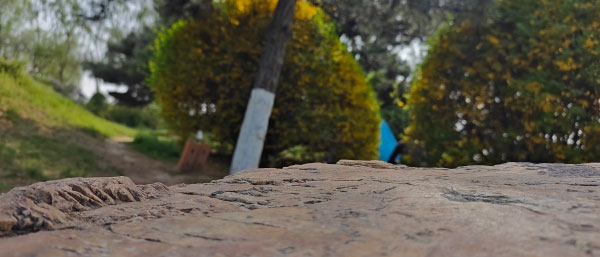 沈陽(yáng)顆粒物自動(dòng)監(jiān)測(cè)系統(tǒng)及空氣中顆粒物的潛在危害