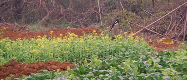 沈陽環(huán)境檢測