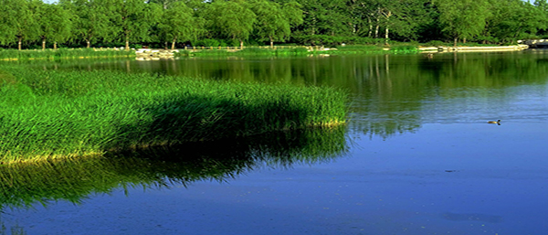 科技創(chuàng)新，保護(hù)環(huán)境——沈陽(yáng)環(huán)境檢測(cè)，守護(hù)健康與生態(tài)平衡