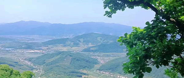 遼寧第三方檢測(cè)機(jī)構(gòu)揭秘環(huán)境檢測(cè)的重要性