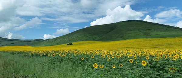 遼寧第三方檢測機構(gòu)堅守環(huán)境保護的使命守護綠水青山
