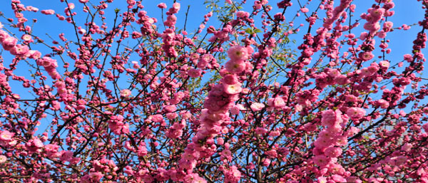 沈陽水質(zhì)檢測(cè)：流程保障水質(zhì)安全，每一步不可或缺