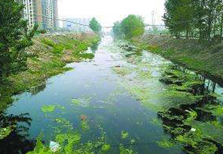 地下水檢測(cè)項(xiàng)目二