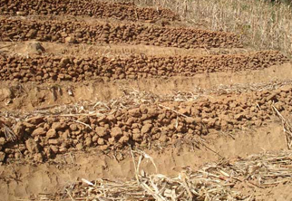 土壤檢測(cè)項(xiàng)目三