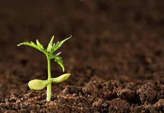 土壤檢測(cè)項(xiàng)目一