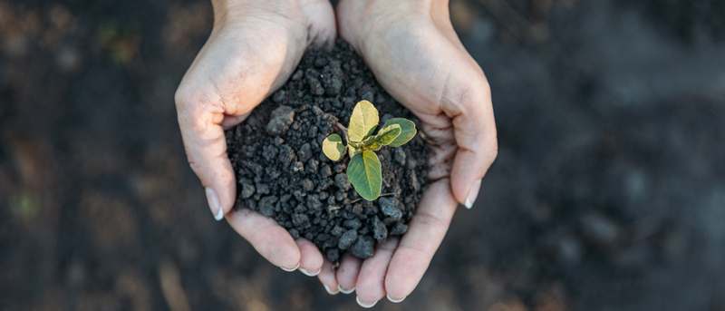 遼寧省環(huán)境中土壤污染情況以及檢測手段分析
